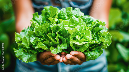 Person holding fresh green lettuce with both hands, overalls blurred in the background, symbolizing organic farming or healthy eating.