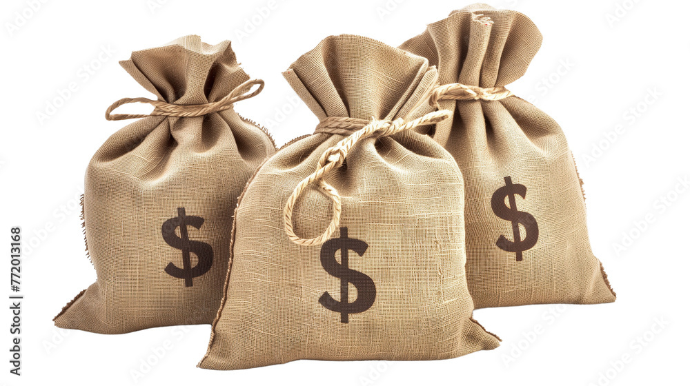 custom made wallpaper toronto digitalMoney bags with dollar signs, isolated on a transparent background