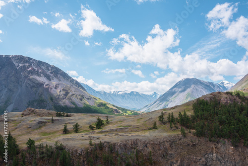 View above cliff to alpine green valley and large mountain range with snowy top far away. Sparse conifer trees on precipice edge in high mountains. Open coniferous forest on rocky wall above abyss.