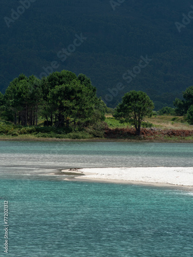 Coastal landscape in Galicia. Detail of water, sand spit and trees in the background contrasted against the mountain