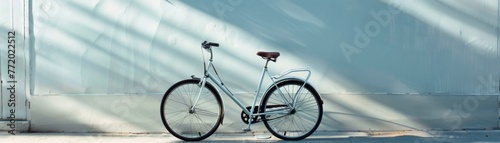 A bicycle captured in a minimalist setting photo
