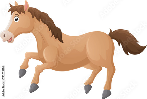 Cute brown horse on a white background