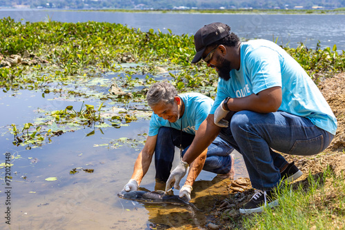Foto Team of volunteer scientist is catching native breeder fish to get sample and me