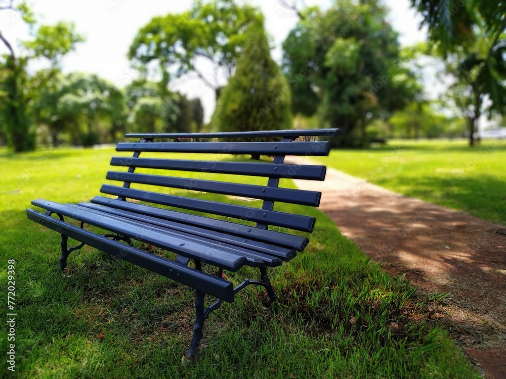 bench in the park bench in the park