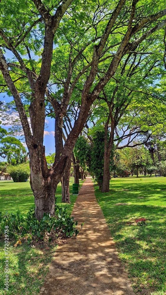 Fototapeta premium path in the park