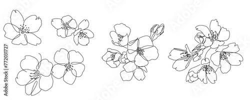 Wallpaper Mural Set of hand drawn Cherry blossom flowers. simple hand drawing of Cherry blossom flower. Vector illustration. Torontodigital.ca
