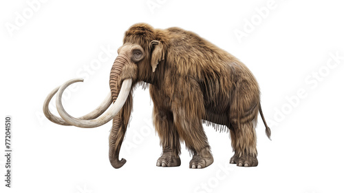 A mamut, isolated on a transparent background