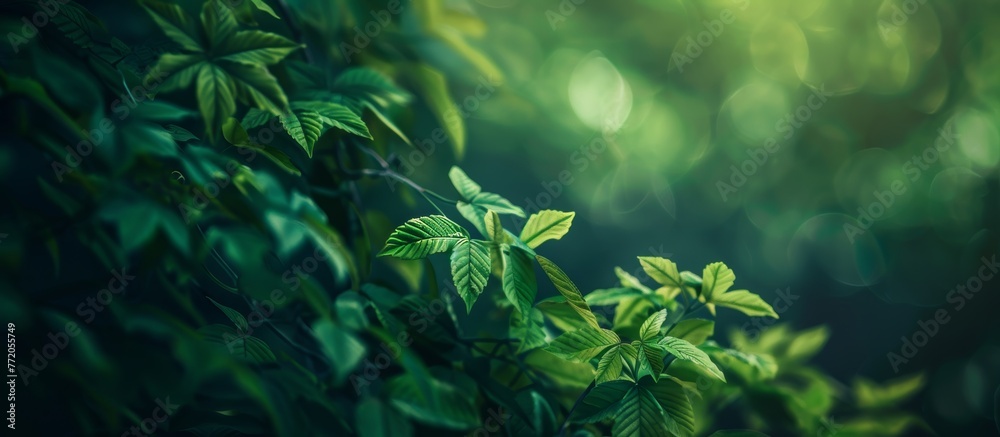 green background of nature, ecology and sustainability green background of nature, ecology and sustainability