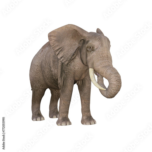 African elephant depicted in various poses and angles, pose #03. 3D model, PNG.