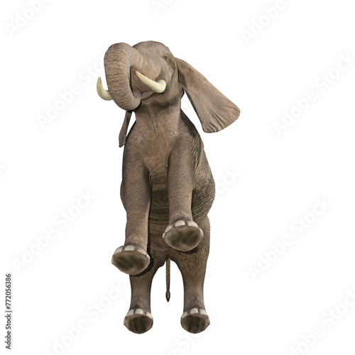 African elephant depicted in various poses and angles, pose #03. 3D model, PNG.