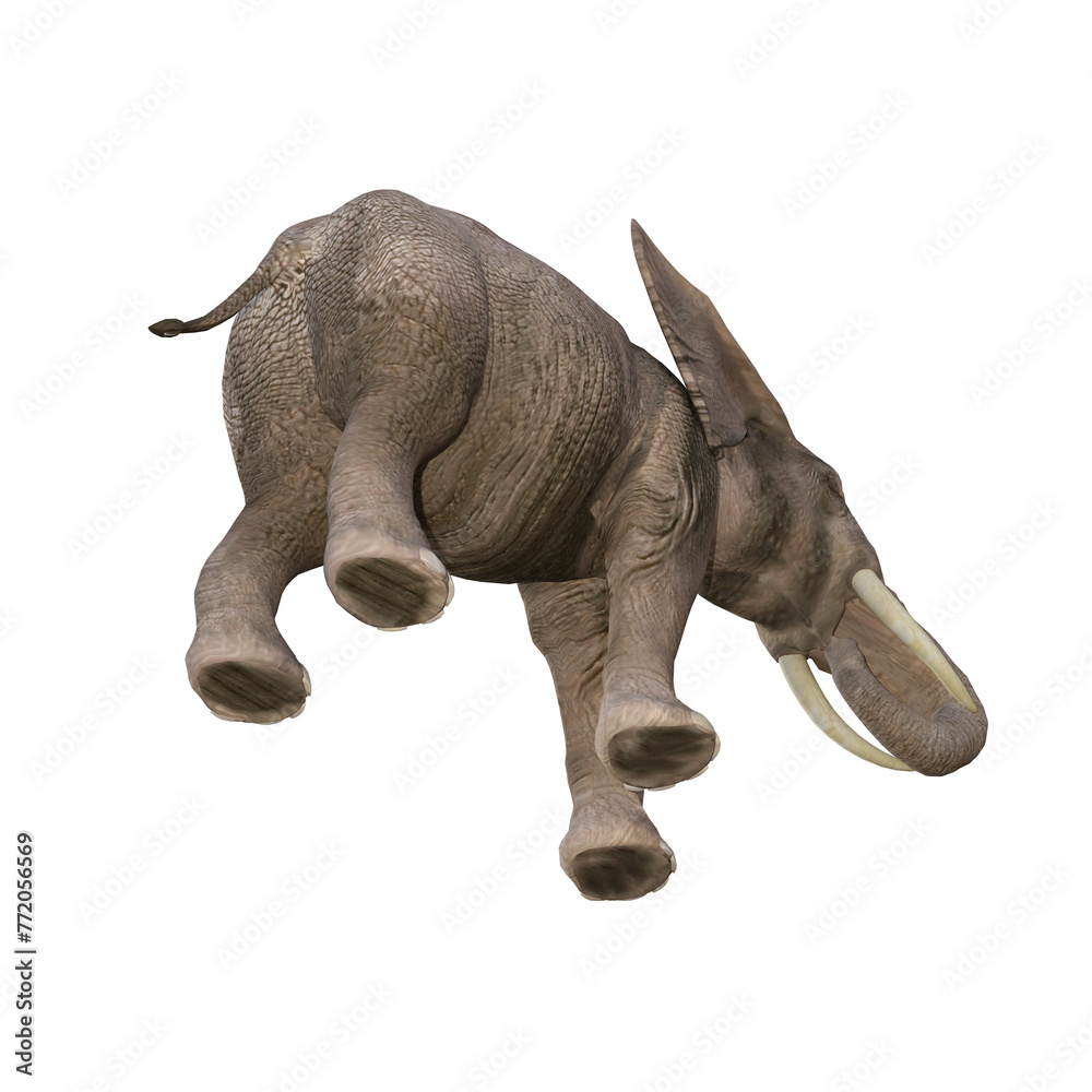 African elephant depicted in various poses and angles, pose #03. 3D model, PNG.