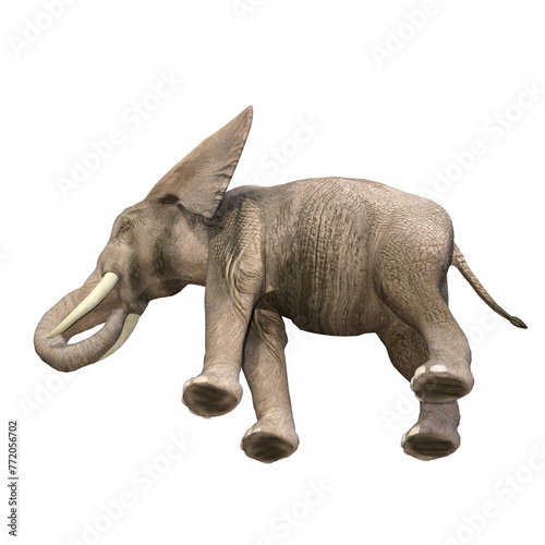 African elephant depicted in various poses and angles, pose #03. 3D model, PNG.