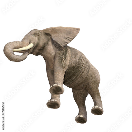 African elephant depicted in various poses and angles  pose  03. 3D model  PNG.