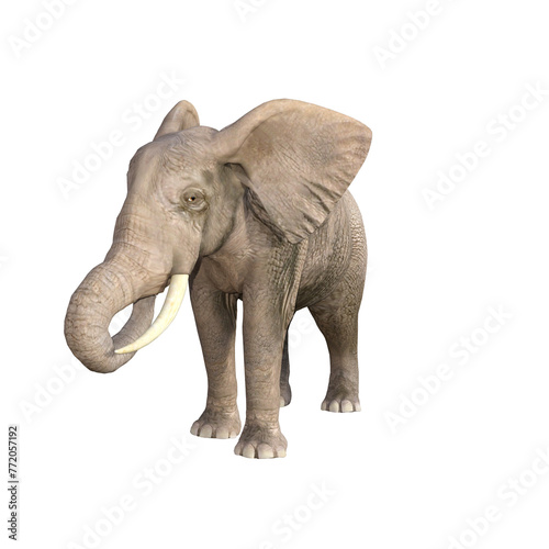 African elephant depicted in various poses and angles  pose  03. 3D model  PNG.