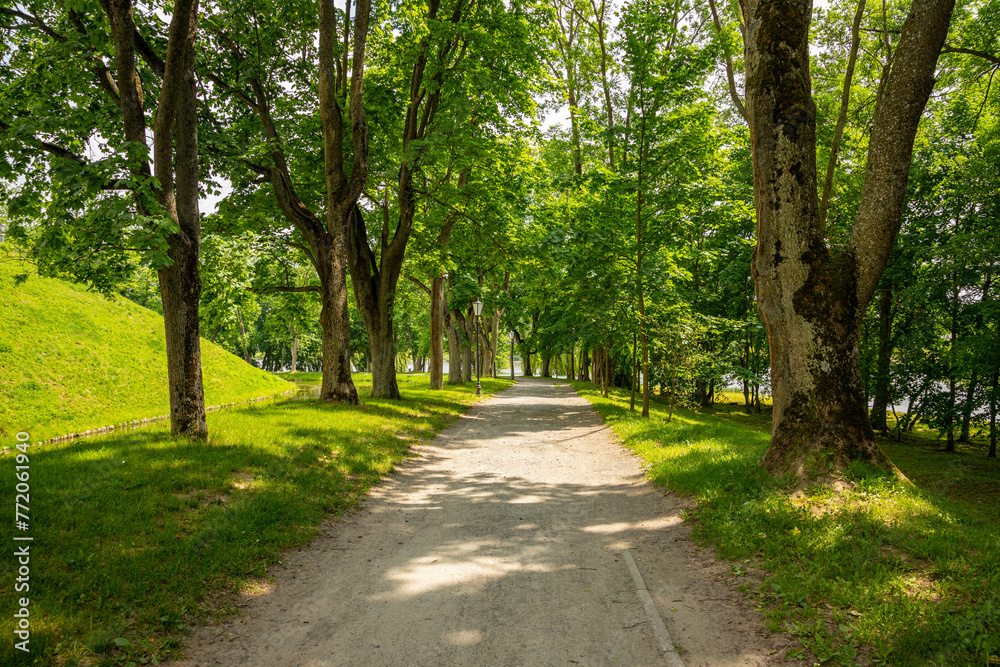 Green city park with trees, flowers, walkways. Green city park with trees, flowers, walkways.