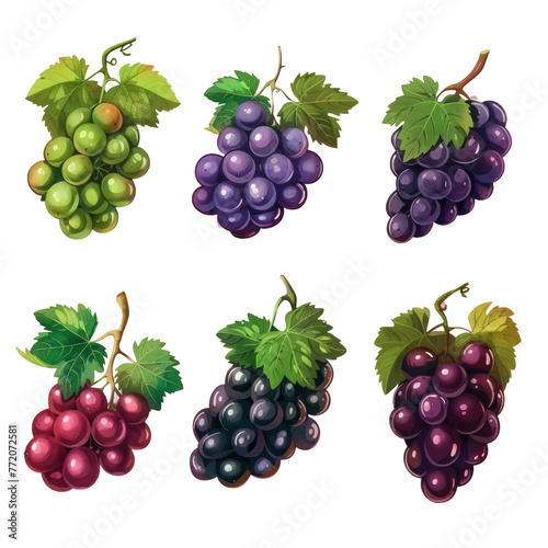 a bunch of different colored grapes on a transparent background