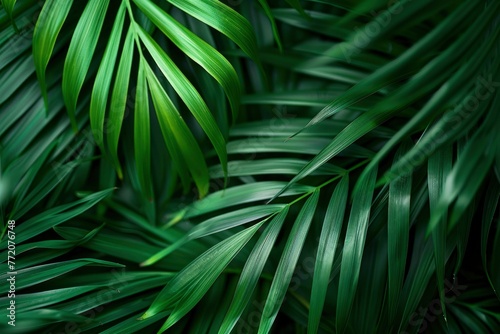 closeup nature view of green leaf and palms background. Flat lay, dark nature concept, tropical leaf - generative ai © Nia™