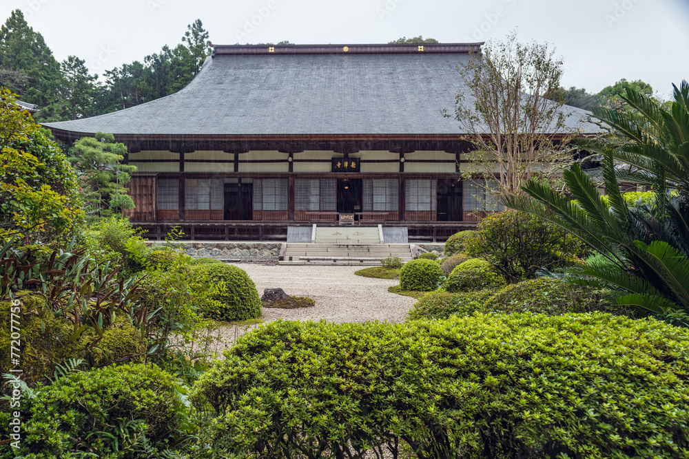 静岡 龍潭寺 本堂と前庭