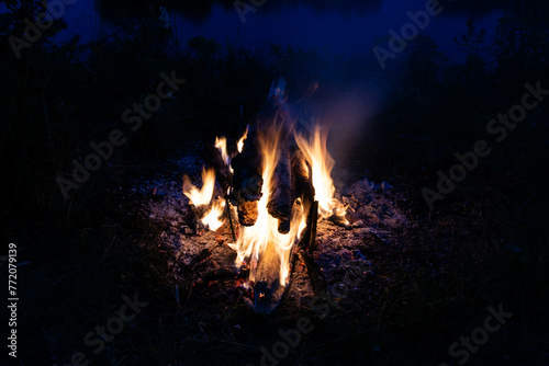 Bonfire  fire  smoke on a background of nature.