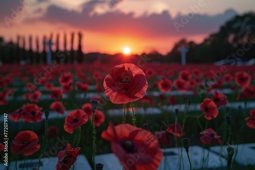 poppy field. memorial day. ai generated
