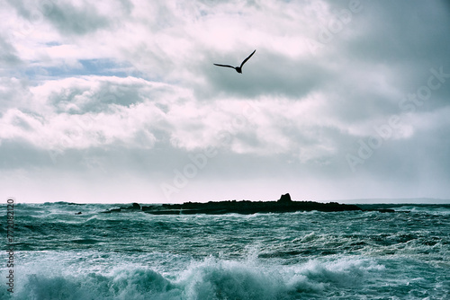 Bird flying to a rocky island on a stormy day