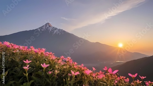 Magic pink rhododendron flowers on summer mountain