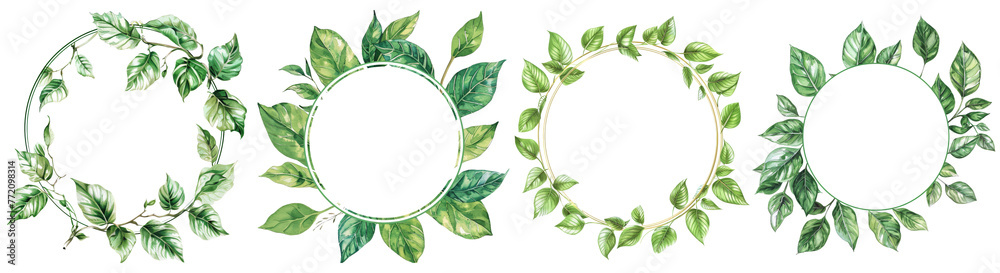 Circular frame leaf , cut out transparent isolated on white background ,PNG file