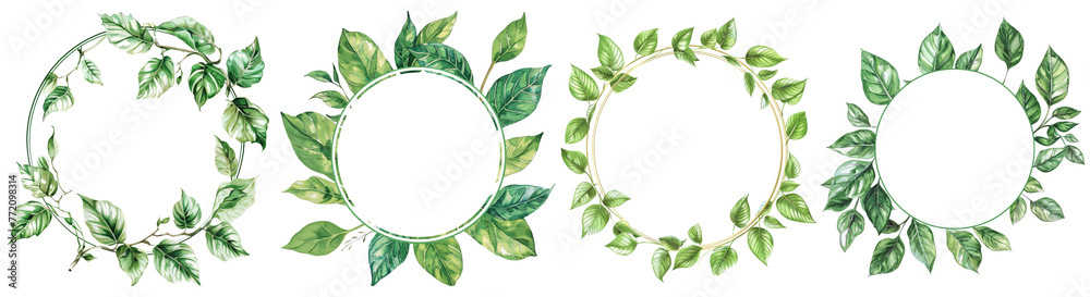Circular frame leaf , cut out transparent isolated on white background ,PNG file Circular frame leaf , cut out transparent isolated on white background ,PNG file