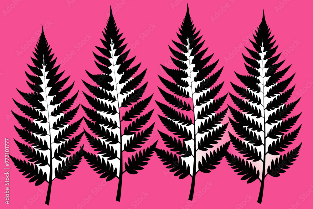 Fototapeta premium Maple Fern Vector color