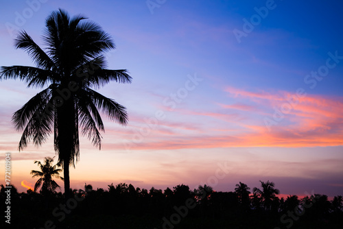 Sunset Sky Overlay Gradient Sunrise Horizon Dawn Background Gold Red Sun Cloud Landscape Skyline Beautiful Evening Warm Light Sunshine Scenic Yellow Oragne Red Sunlight Summer Spring Backdrop Travel.