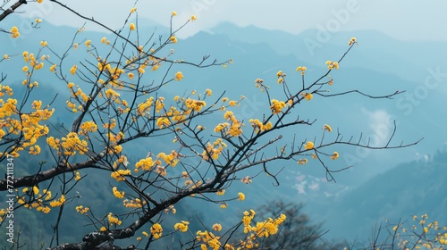 Winter, yellow flowers in full bloom © @_ greta