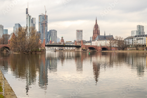 Cherry blossoms on a river bank in the middle of a big city. Spring with a view of the skyline of the financial district and the high-rise buildings of Frankfurt  Hesse