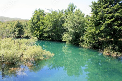The lovely Zrmanja river near Muscovici  Croatia