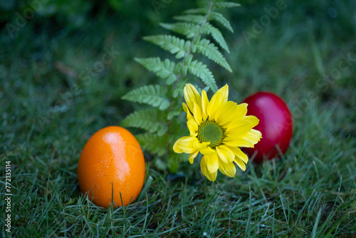 Bunte Ostereier auf grüner Wiese photo