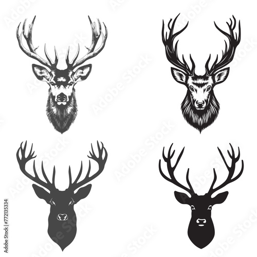 Deer head vector illustration -Deer head Illustration