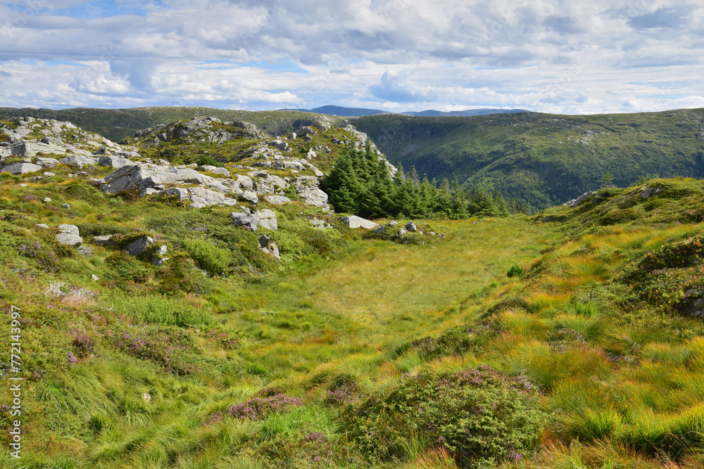 Paysage du Massif du Stølsheimen vu depuis le Blåmanen