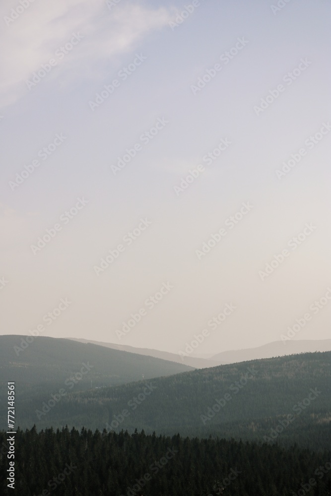 Obraz premium Processed with VSCO with g3 preset