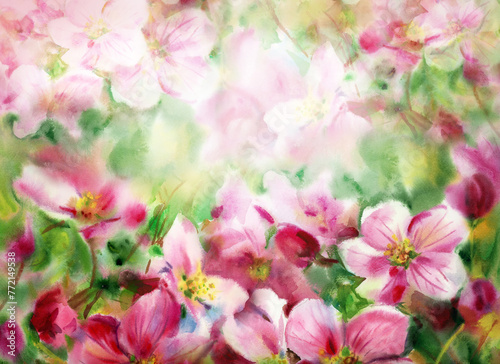 Blossoming spring  tree,  floral background. Watercolor illustration.