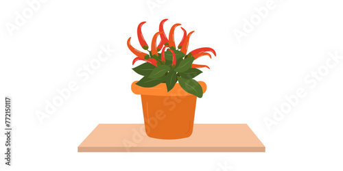 The concept of home growing fresh vegetables. Room pepper.. Organic homemade vegetables. City garden. Vector illustration.