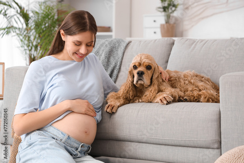 Beautiful pregnant woman with cocker spaniel on sofa at home