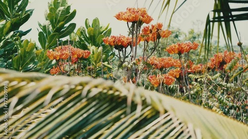 Close up palm leaves sway in the wind on a sunny summer day.  Beautiful tropical flowers In the background.