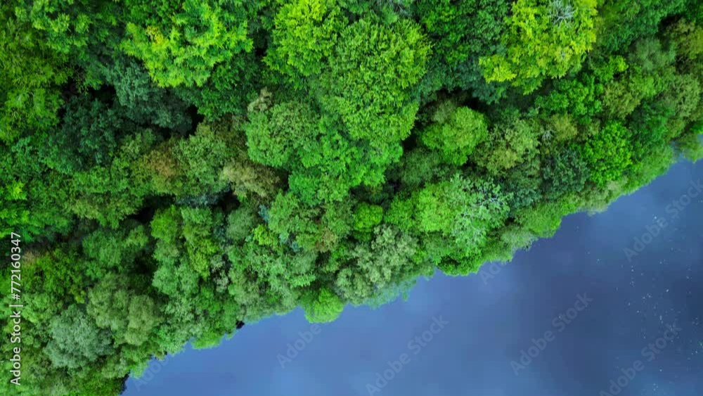 Aerial over blue water of Amazon River with sky reflection and green shore with lush forest Aerial over blue water of Amazon River with sky reflection and green shore with lush forest