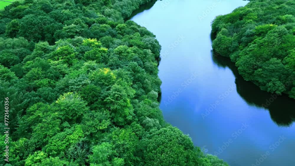Aerial of Amazon River surrounded by a beautiful rainforest in South America Aerial of Amazon River surrounded by a beautiful rainforest in South America