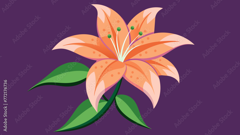 Exquisite Lily Flower Vector Art Captivating Designs for Your Creative Projects