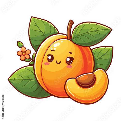 cartoon Apricot fruit vector