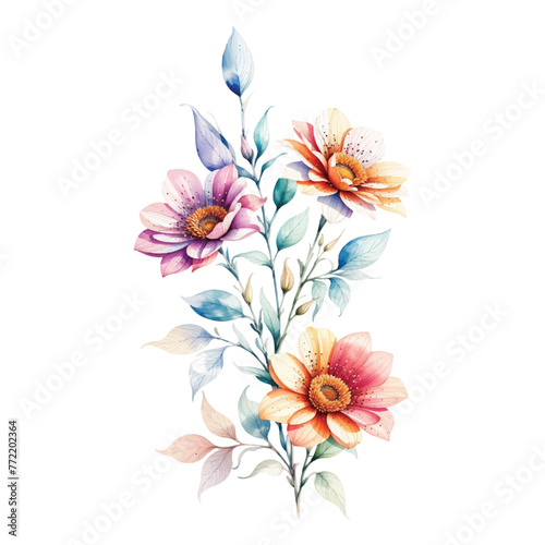watercolor arrangements with small flower. Spring and summer Background, Botanical illustration minimal style