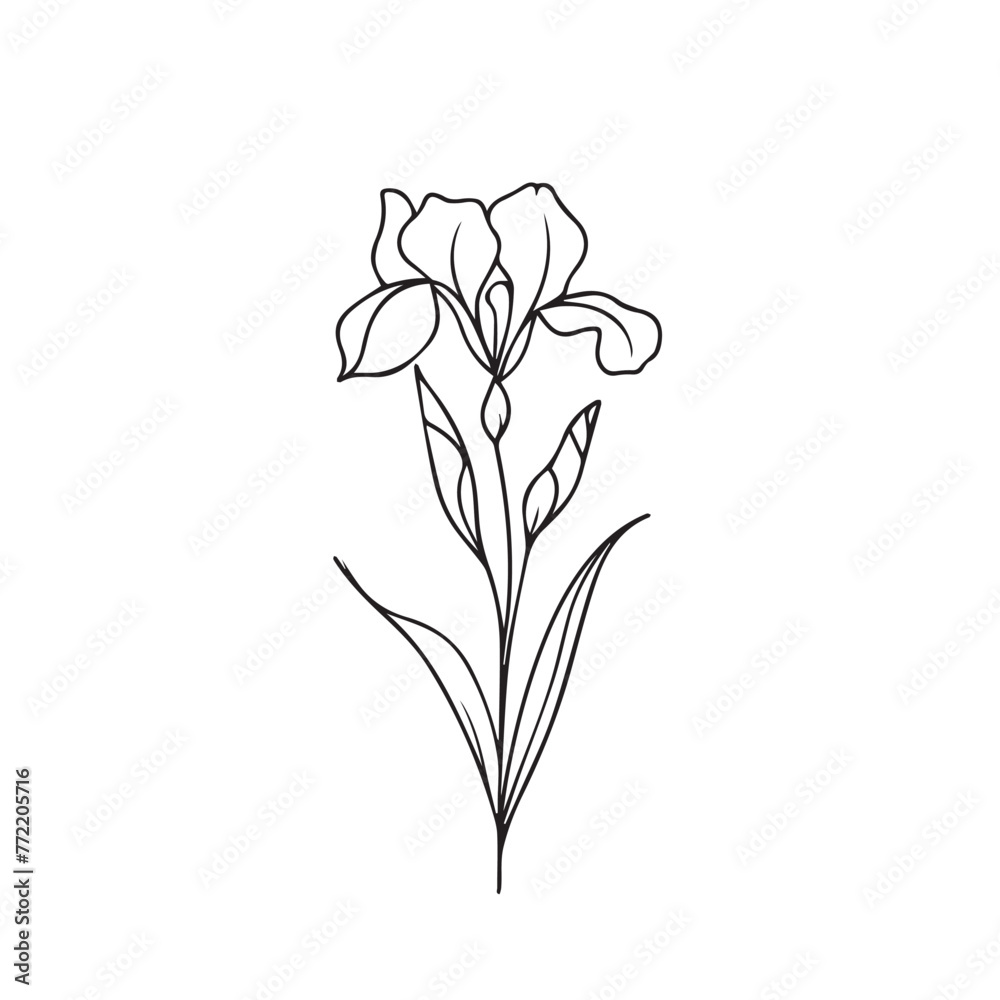 Irises in cartoon, doodle style . Image for t-shirt, web, mobile apps and ui. Isolated 2d vector illustration in logo, icon, sketch style, Eps 10, black and white. AI Generative
