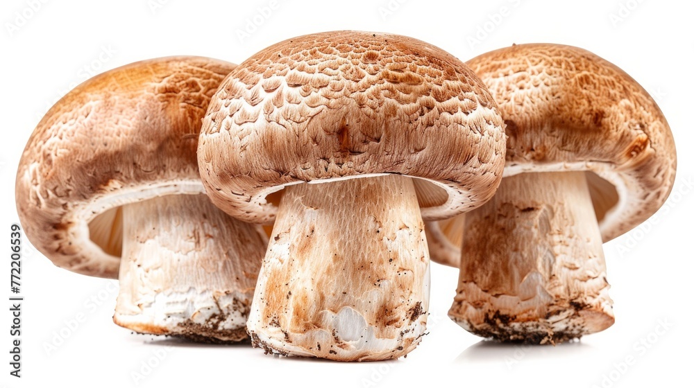 Fototapeta premium Fresh white champignon mushrooms isolated