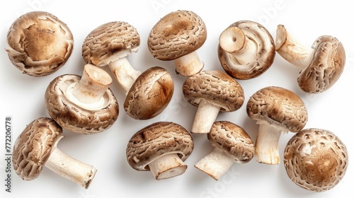 Fresh white champignon mushrooms isolated