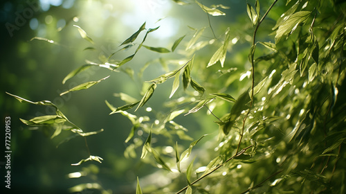 Lush Green Leaves Shimmering in Soft Sunlight